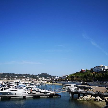 B&B La Salamandra Kitchengarden Forio di Ischia Buitenkant foto