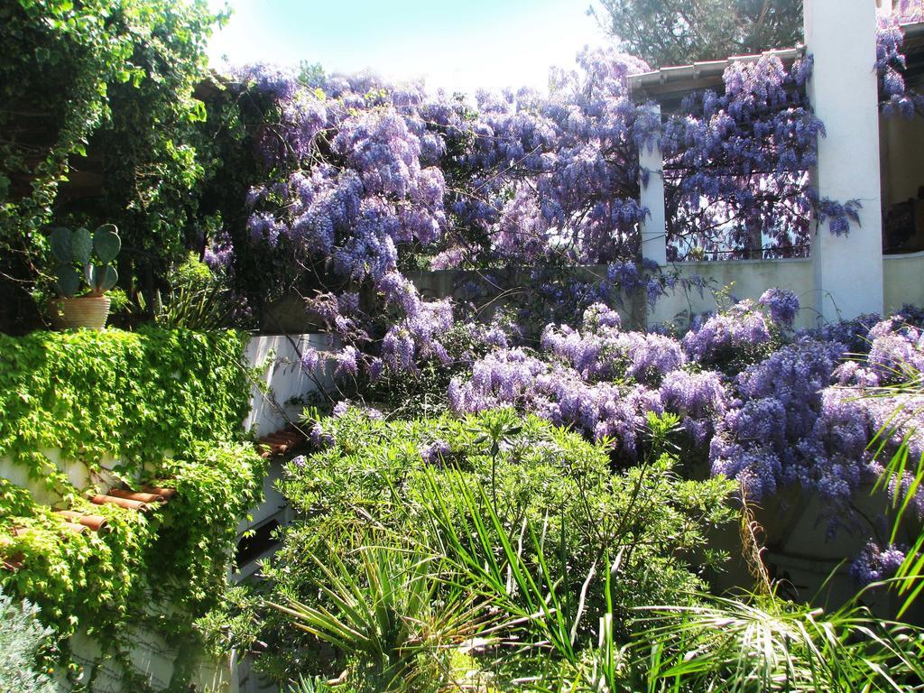 B&B La Salamandra Kitchengarden Forio di Ischia Buitenkant foto