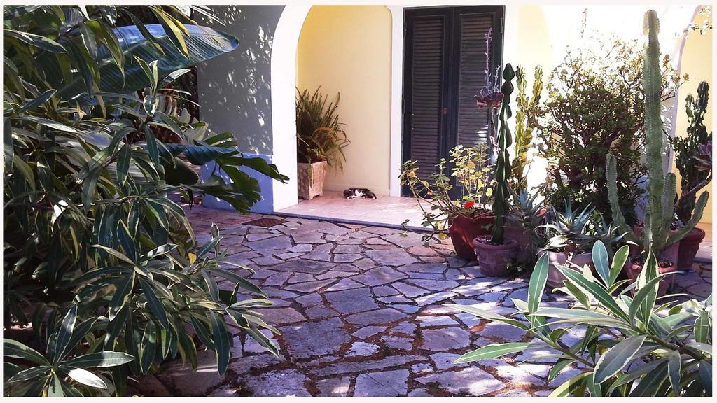 B&B La Salamandra Kitchengarden Forio di Ischia Buitenkant foto