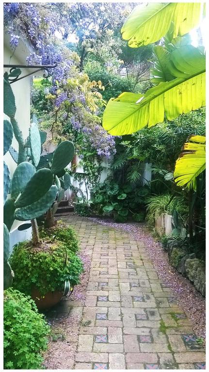 B&B La Salamandra Kitchengarden Forio di Ischia Buitenkant foto