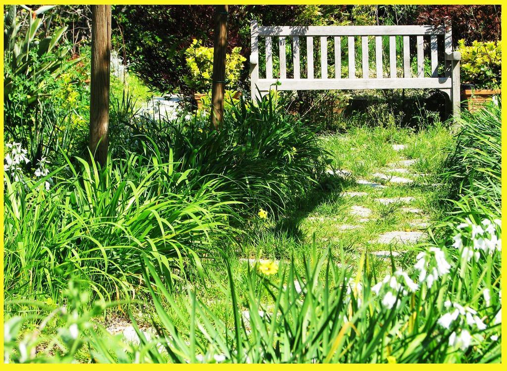 B&B La Salamandra Kitchengarden Forio di Ischia Buitenkant foto