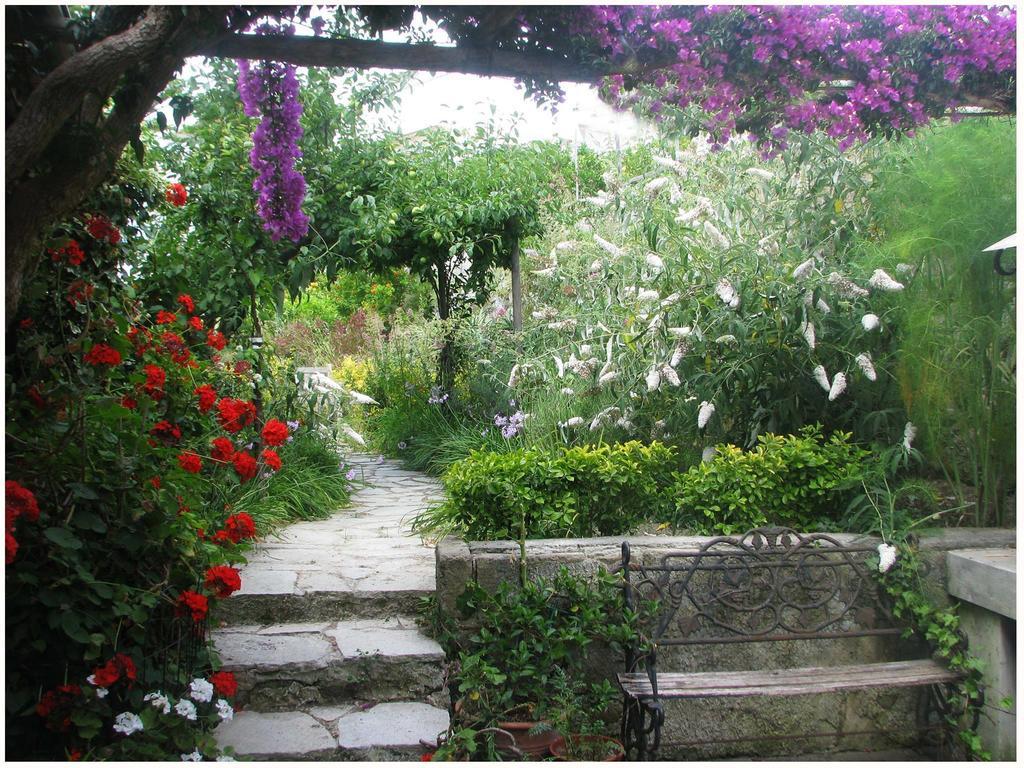 B&B La Salamandra Kitchengarden Forio di Ischia Buitenkant foto