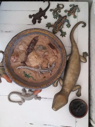 B&B La Salamandra Kitchengarden Forio di Ischia Buitenkant foto