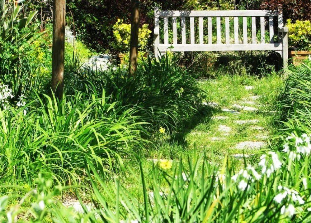 B&B La Salamandra Kitchengarden Forio di Ischia Buitenkant foto