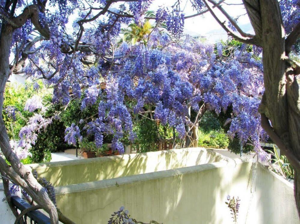 B&B La Salamandra Kitchengarden Forio di Ischia Buitenkant foto