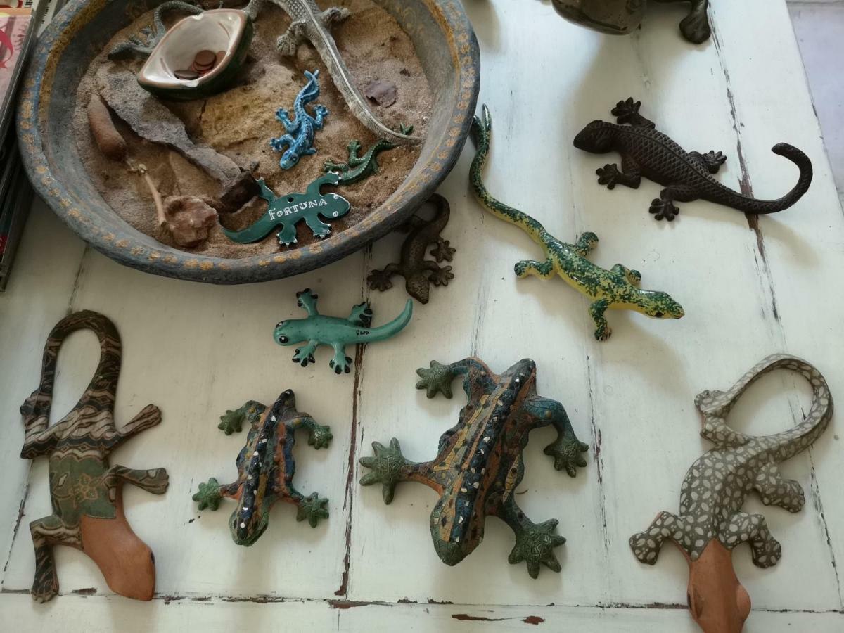 B&B La Salamandra Kitchengarden Forio di Ischia Buitenkant foto