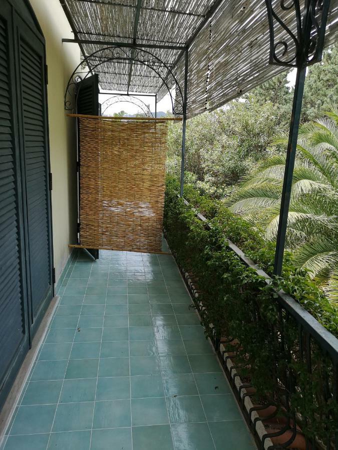 B&B La Salamandra Kitchengarden Forio di Ischia Buitenkant foto