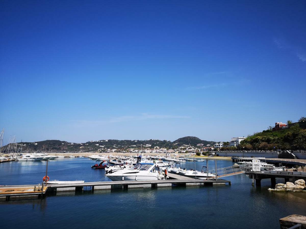B&B La Salamandra Kitchengarden Forio di Ischia Buitenkant foto